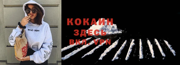 гидра Майский