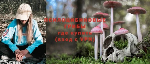 экстази Мегион