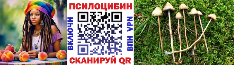 Псилоцибиновые грибы Psilocybe Михайловка
