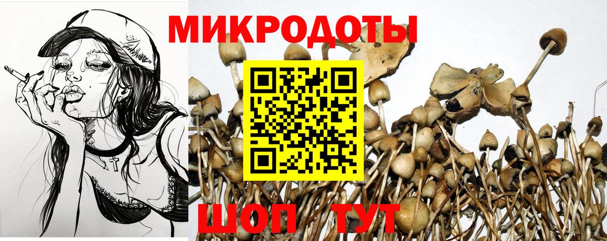 Михайловка  Псилоцибиновые грибы ЛСД  Галлюциногенные грибы прущие грибы  Вход с VPN 