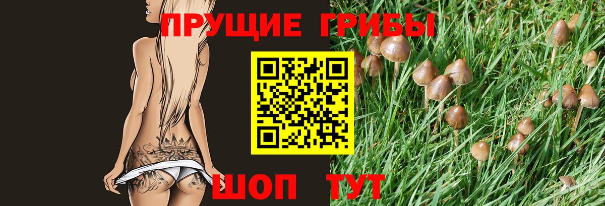 Псилоцибиновые грибы Magic Shrooms Михайловка