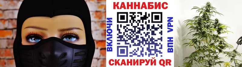 МАРИХУАНА планчик  Михайловка 